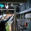 Electrical Safety Course