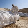 Asbestos Safety Awareness - Spanish