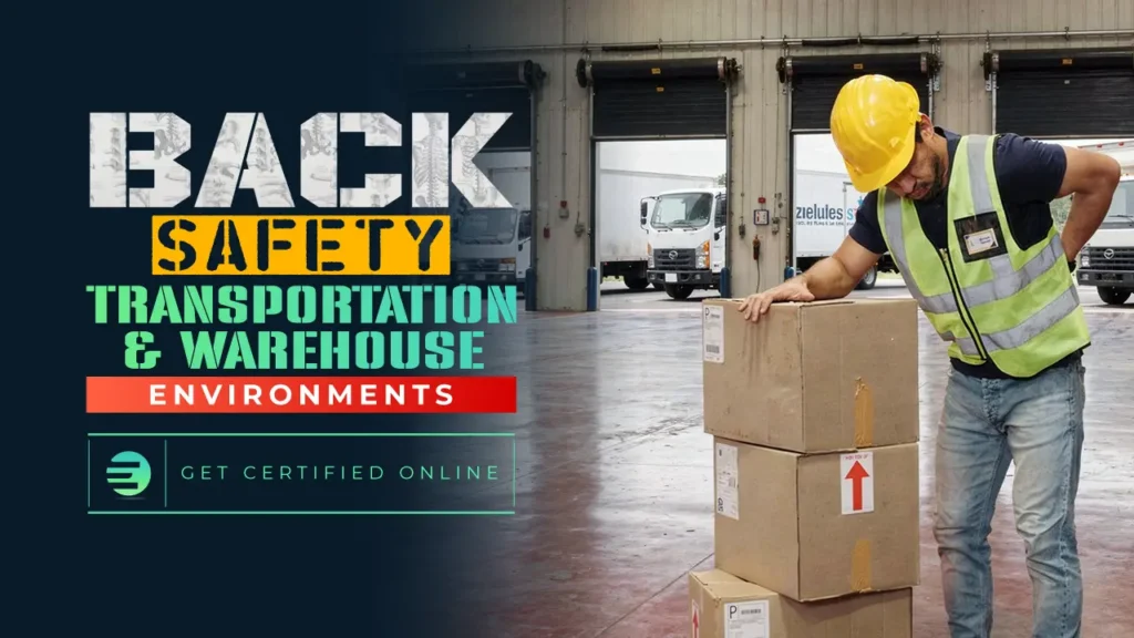 Back Safety in Transportation and Warehouse Environments